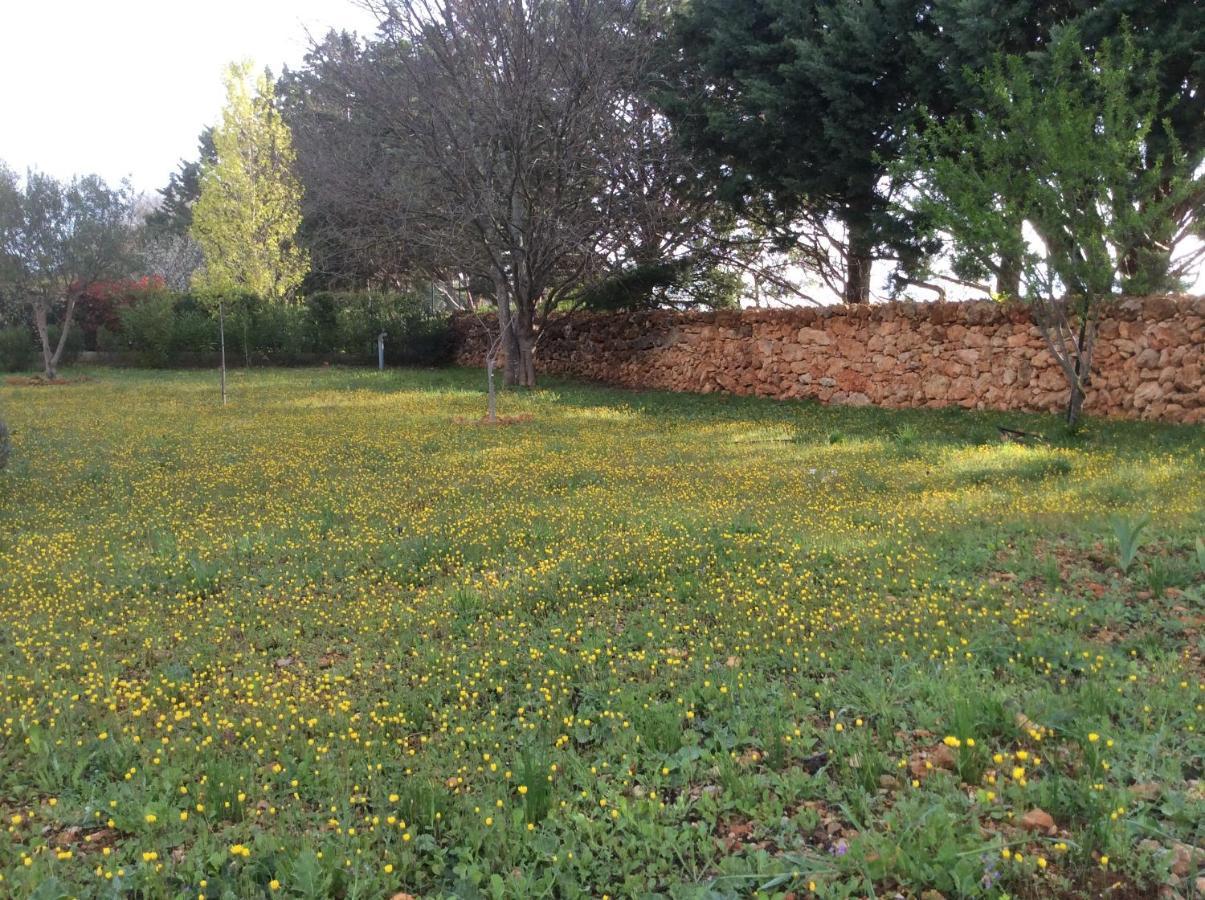 Villa Faro Provence Var Montfort-sur-Argens Exterior foto